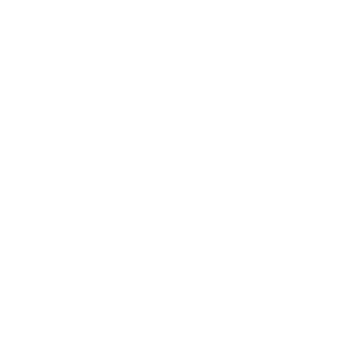 Quantum DMC